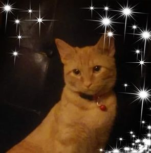 Meet your Posher, Dee